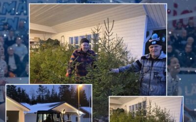 Jymyltä joulukuusia